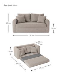 Sofa rozkładana Lido (2-osobowa), Tapicerka: poliester imitujący len D, Nogi: tworzywo sztuczne, Jasny szary, S 158 x G 69 cm