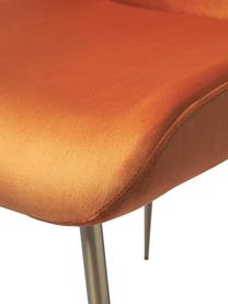 Samt-Polsterstuhl Tess von Chris Glass, Bezug: Samt (Polyester) Der hoch, Beine: Metall, pulverbeschichtet, Samt Orange, Goldfarben, B 49 x T 64 cm