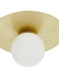 Lampada da soffitto in vetro opale Ciara, Paralume: vetro, Baldacchino: metallo ottonato, Bianco, dorato, Larg. 69 x Alt. 16 cm