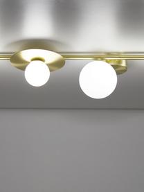 Plafondlamp Ciara van opaalglas, Baldakijn: vermessingd metaal, Baldakijn en fitting: mat messingkleurig. Lampenkappen: wit, B 69 x H 16 cm
