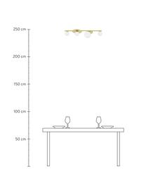 Deckenleuchte Ciara aus Opalglas, Baldachin: Metall, vermessingt, Baldachin und Fassung: Messing, mattLampenschirme: Weiss, B 69 x H 16 cm