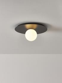 Nástenná a stropná lampa Starling, Čierna, biela, Ø 33 x H 14 cm