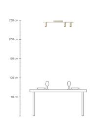 Velké moderní stropní bodové svítidlo Cassandra, Béžová, matná, Š 80 cm, V 16 cm