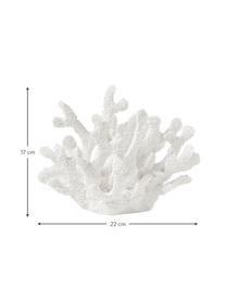 Oggetto decorativo di design Coral, Poliresina, Bianco, Larg. 22 x Alt. 17 cm