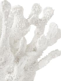 Design objet décoratif Coral, Polyrésine, Blanc, larg. 22 x haut. 17 cm