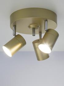 Lampa sufitowa Correct, Odcienie złotego, Ø 20 x W 14 cm