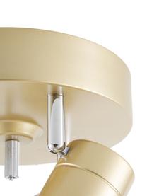 Faretti da soffitto piccoli Correct, Paralume: metallo rivestito, Baldacchino: metallo rivestito, Dorato, Ø 20 x Alt. 14 cm