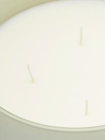 Candela profumata a quattro stoppini St Moritz (legno di sandalo), Contenitore: vetro, Coperchio: legno di faggio, Verde salvia, Ø 15 x Alt. 11 cm