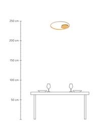 Dimbare LED plafondlamp Fuline in goudkleur, Lampenkap: metaal, Baldakijn: metaal, Diffuser: acryl, Goudkleurig, Ø 50 x H 5 cm