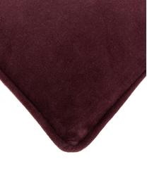 Einfarbige Samt-Kissenhülle Dana, 100 % Baumwollsamt, Burgund, B 40 x L 40 cm