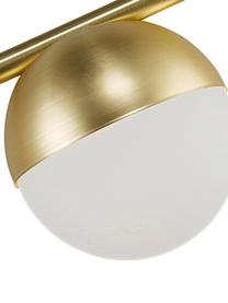 Lampada da scrivania dorata con vetro opale Contina, Paralume: vetro opale, Base della lampada: metallo rivestito, Bianco, dorato, Larg. 15 x Alt. 49 cm