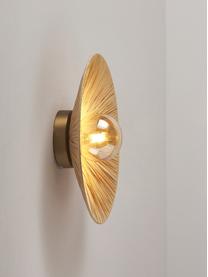 Aplique de diseño Zailo, Fijación: metal con pintura en polv, Pantalla: vidrio, Beige, latón, Ø 35 x Al 14 cm