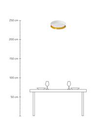 LED plafondlamp Mallory in wit, Diffuser: kunststof, Wit, Ø 41 x H 10 cm