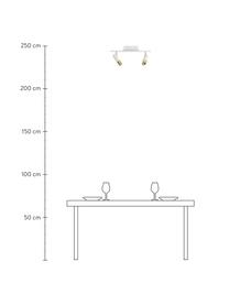 LED-Deckenstrahler Bobby-Gold, Baldachin: Metall, pulverbeschichtet, Weiß, Goldfarben, B 47 x H 13 cm