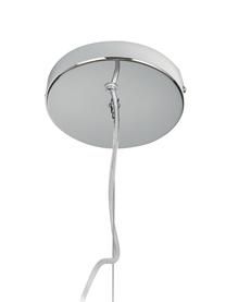 Lámpara de techo Amora, Pantalla: vidrio, Anclaje: metal cepillado, Cable: plástico, Transparente, cromo, Ø 35 x Al 20 cm