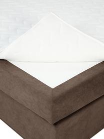 Cama continental Livia, con espacio de almacenamiento, Patas: plástico, Tejido marrón oscuro, An 140 x L 200 cm, dureza 2