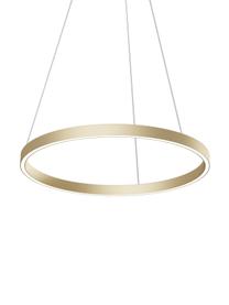 Große LED-Pendelleuchte Rim, Lampenschirm: Aluminium, Baldachin: Aluminium, Goldfarben, Ø 60 x H 40 cm