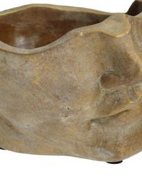 Portavaso viso di design in cemento Fluorite, Cemento, Dorato, Larg. 22 x Alt. 14 cm