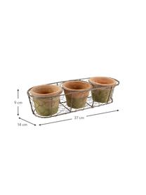 Pflanztopf-Set Daria aus Terrakotta, 4-tlg., Übertopf: Terrakotta, Korb: Metall, Terrakotta, Grün, B 37 x H 9 cm