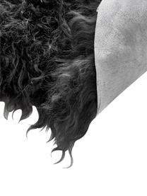 Jehněčí kůže s dlouhým vlasem Ella, Šedá, Š 50 cm, D 160 cm