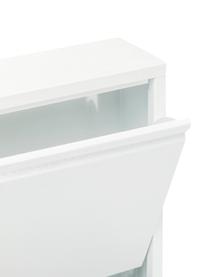 Zapatero de pared Caruso, 3 compartimentos, Acero con pintura en polvo, Blanco, An 50 x Al 103 cm