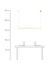 Lampada grande a sospensione a LED Elettra, Lampada: alluminio rivestito, Baldacchino: alluminio rivestito, Dorato, Larg. 120 x Alt. 2 cm