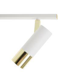 LED-Deckenstrahler Bobby in Weiß-Gold, Baldachin: Metall, pulverbeschichtet, Weiß, B 66 x H 13 cm