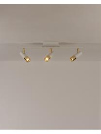Plafonnier spot LED Bobby, Blanc, couleur dorée, larg. 66 x haut. 13 cm