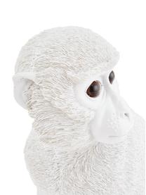 Skarbonka Monkey, Sztuczna żywica, Biały, W 30 x S 25 cm