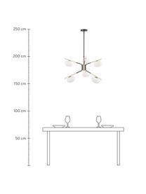 Grote design hanglamp Guna, Baldakijn: gepoedercoat metaal, Zwart, messingkleurig, Ø 70 cm