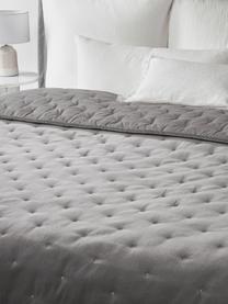 Gesteppte Tagesdecke Cheryl aus Samt, Vorderseite: Baumwollsamt, Rückseite: Baumwolle, Grau, B 240 x L 250 cm (für Betten bis 200 x 200 cm)