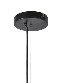 Dizajnová závesná lampa zo skla Bubbles, Priehľadná, čierna, Ø 32 cm
