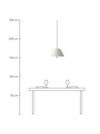 Lampada a sospensione Levitate, Paralume: metallo, rivestito, Decorazione: metallo, spazzolato, Grigio chiaro, Ø 28 x Alt. 22 cm