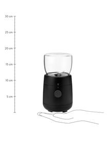 Molinillo de café eléctrico Foodie, Cuerpo: plástico, Recipiente: vidrio de borosilicato, Negro, Ø 10 x Al 18 cm