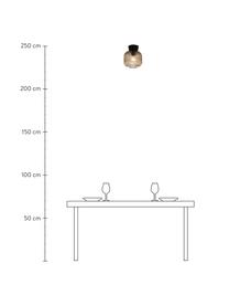 Kleine Deckenleuchte Vanja aus getöntem Glas, Lampenschirm: Glas, Grau, Schwarz, Ø 20 x H 24 cm