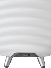 Mobiele tuinlamp Synergy S met luidspreker en flessenkoeler, Lampenkap: kunststof, Decoratie: geborsteld aluminium, Wit, chroomkleurig, bruin, Ø 24 x H 41 cm