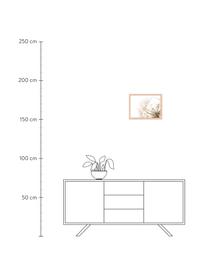 Gerahmter Digitaldruck Flora Of Gran Canaria, Bild: Digitaldruck auf Papier, , Rahmen: Holz, lackiert, Front: Plexiglas, Mehrfarbig, B 43 x H 33 cm
