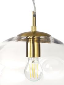 Pendelleuchte Amora aus transparentem Glas, Lampenschirm: Glas, Baldachin: Metall, gebürstet, Transparent, Messing, Ø 35 x H 20 cm