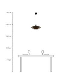 Pendelleuchte Epsilion, Lampenschirm: Metall, beschichtet, Baldachin: Kunststoff, Schwarz, Ø 45 x H 21 cm