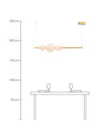 Große LED-Pendelleuchte Freccia, Lampenschirm: Glas, Goldfarben, Weiß, B 131 x H 22 cm