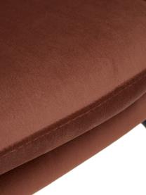 Fluwelen fauteuil Wing in bruin met metalen poten, Bekleding: fluweel (polyester), Frame: gegalvaniseerd metaal, Fluweel bruin, 75 x 85 cm