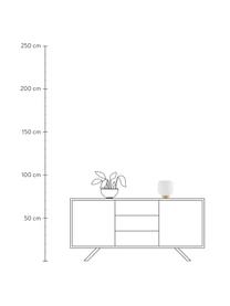 Lámpara de mesa pequeña Milford, estilo escandinavo, Pantalla: vidrio opalino, Cable: cubierto en tela, Blanco opalino, madera, Ø 20 x Al 21 cm