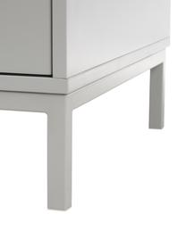 Kleiderschrank Ikaro, 2-türig, Korpus: Mitteldichte Holzfaserpla, Einlegeböden: Spannplatte, melaminbesch, Füße: Metall, pulverbeschichtet, Grau, B 110 x H 200 cm
