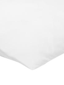 Kissen-Inlett Sia, 40x40, Microfaser-Füllung, Hülle: 100% Baumwolle, Weiß, B 40 x L 40 cm