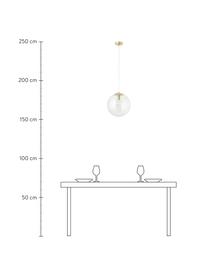Lampada a sospensione Bao, Paralume: vetro, Baldacchino: metallo zincato, Trasparente, dorato, Ø 30 x Alt. 90 cm
