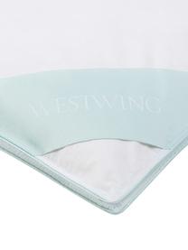 Reine Daunen-Bettdecke Premium, extra warm, Hülle: 100% Baumwolle, feine Mak, Extra warm, B 200 x L 200 cm