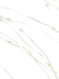 LED-Lichterbündel Milou, warmweiß, Kunststoff, Transparent, L 210 cm