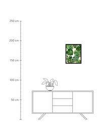 Stampa digitale incorniciata Palm Tree II, Immagine: stampa digitale, Cornice: telaio in materiale sinte, Multicolore, L 40 x A 50 cm