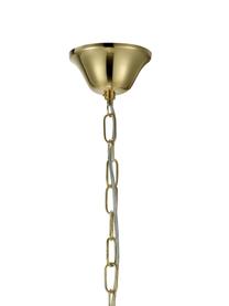Lámpara de araña grande Gränsö, Anclaje: metal latón, Dorado, transparente, Ø 40 x Al 59 cm
