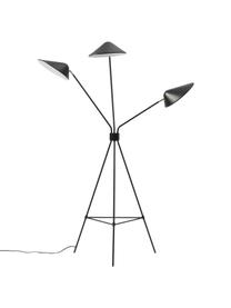 Grote tripod vloerlamp Neron met goudkleurige decoratie, Lampenkap: gepoedercoat metaal, Decoratie: vermessingd metaal, Zwart, B 103 x H 170 cm